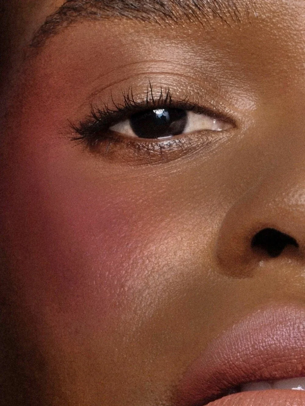 Queen Musia Plaisir Nostalgique Hybrid Blush in Trousdale Sunset